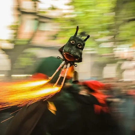 Cal Dansa * ベルガ