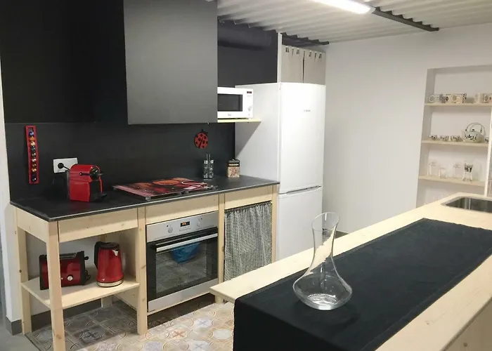 Cal Dansa Apartment Berga
