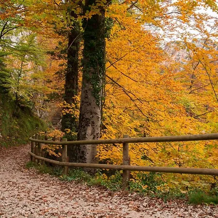 Apartament Cal Dansa Berga